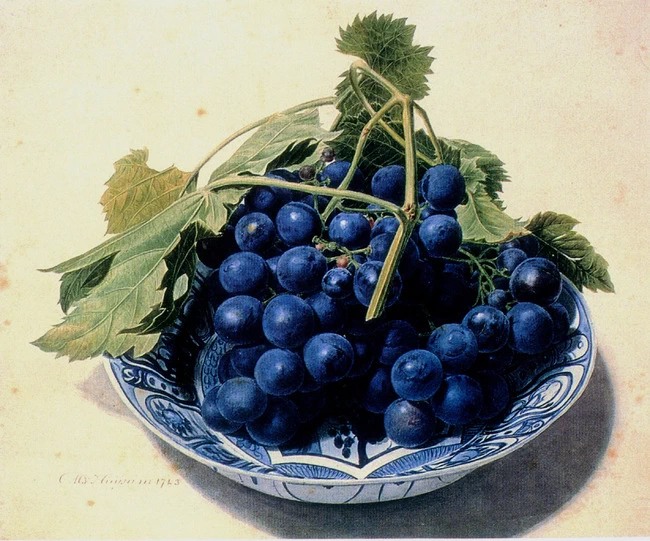 Piatto fatto a Delft con l'uva